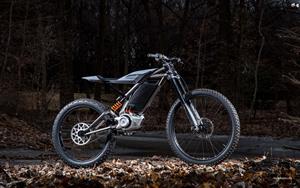 Harley Davidson`s concept electric bike